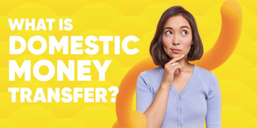 What is Domestic Money Transfer?